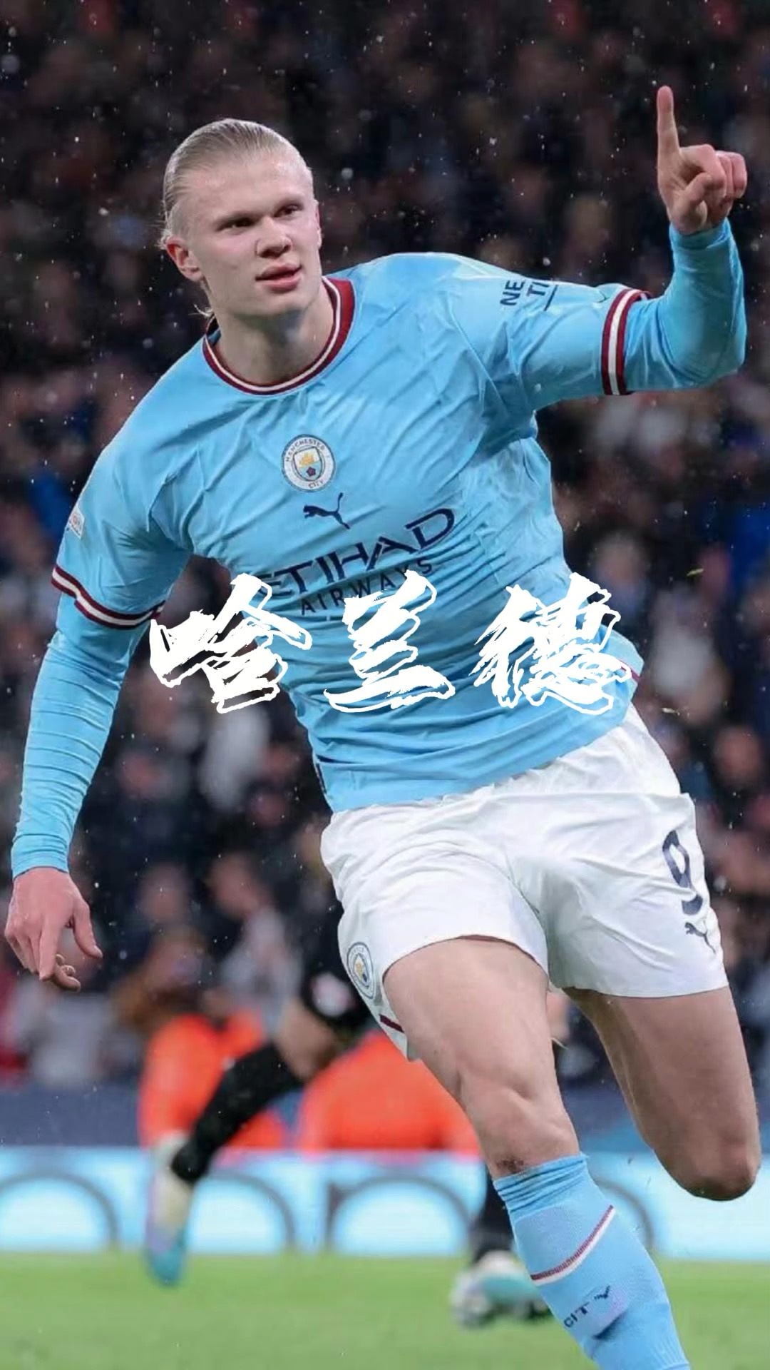 成20